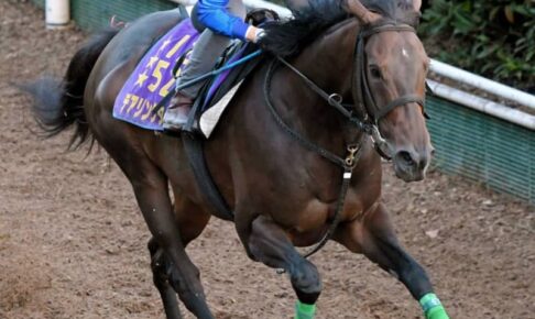 【オールカマー】デアリングタクト復権走　杉山晴師「いい頃の動きに戻りつつある」