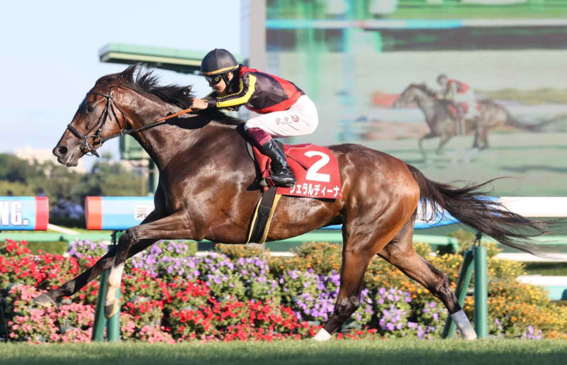 【オールカマー】5番人気ジェラルディーナが重賞初V　デアリングタクトは6着