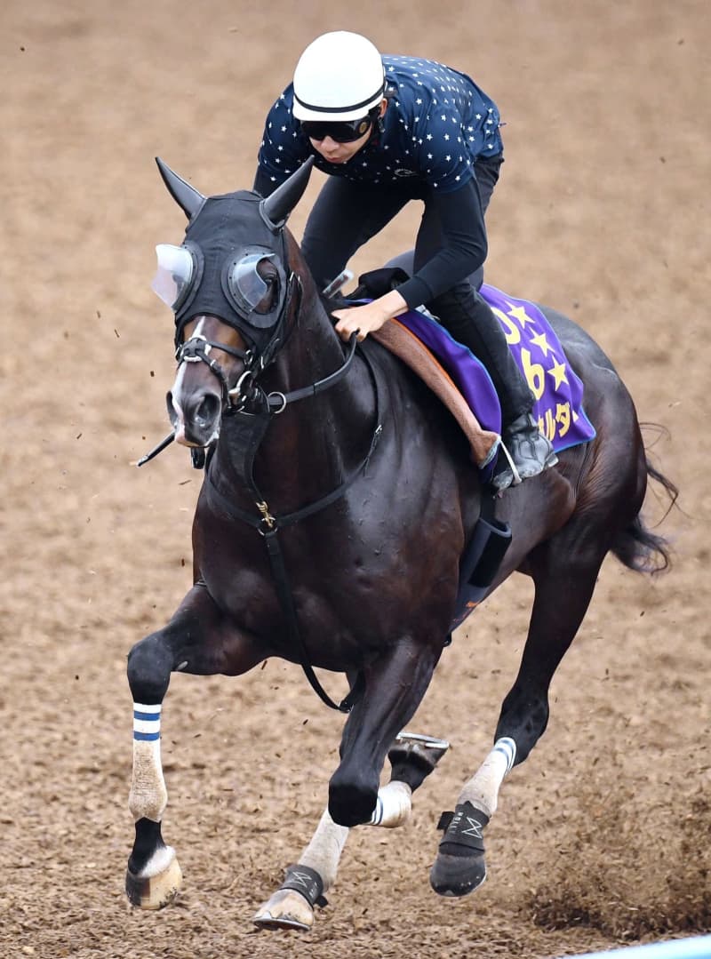 【凱旋門賞】横山和＆タイトルホルダー　大一番へ最高潮「僕は“ここだよ”と合図するだけ」