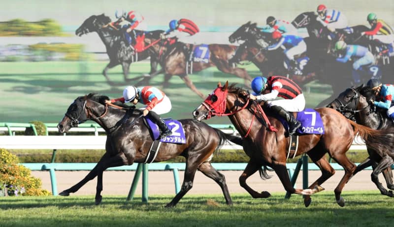 【スプリンターズS】8番人気ジャンダルムがG1初制覇
