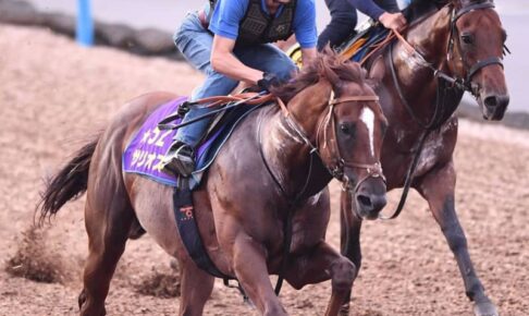 【毎日王冠】サリオス豪快走　復活Vへ手応え十分　堀師「春よりもいい状態」