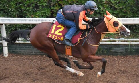 【秋華賞】ナミュール　躍動感満ちた走り　高野師「思ったより時計出た」