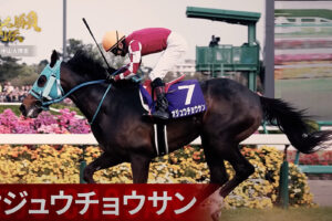 “絶対王者”オジュウチョウサンが引退へ、ラストランは「12.24中山大障害」　J・GI9勝全レース動画集
