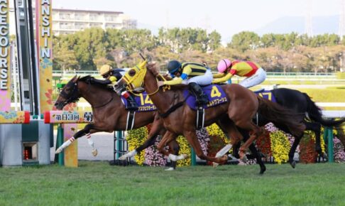 【菊花賞】2番人気アスクビクターモアがクラシック初制覇