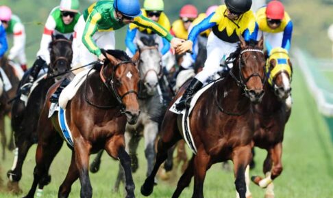 16年ダービー馬マカヒキが9歳で現役引退　レックススタッドで種牡馬入り