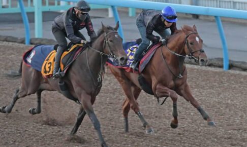 【天皇賞】皐月賞馬ジオグリフ　古馬との初対決に向け“走快” 福永「動き非常に良かった」