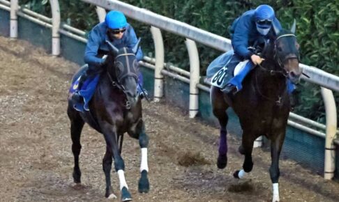 【天皇賞】シャフリヤール万全　海外帰り4カ月半ぶり実戦も仕上がり良好「心技体が整った」