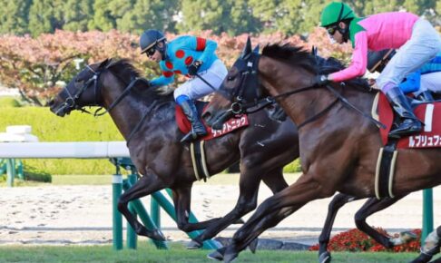【スワンS】4番人気ダイアトニックが快勝　重賞4勝目