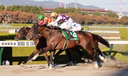 【みやこS】11番人気サンライズホープが重賞2勝目