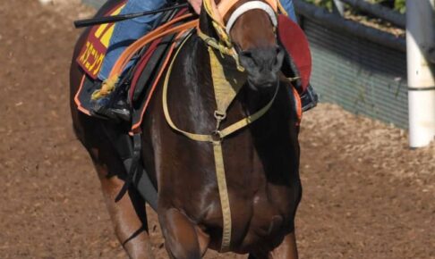 【エリザベス女王杯】G1馬の貫禄　スタニングローズが素晴らしい　ラスト12秒1の猛タイム