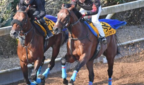 【福島記念】オニャンコポン　傷腫れ影響で慎重も小島師「今回はじっくり」