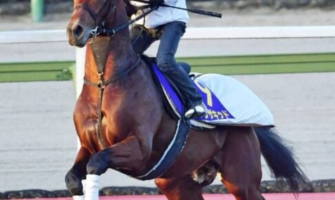 【マイルCS】北村友一　ダノンザキッドで示す完全復活　大けが乗り越え久々のG1舞台へ