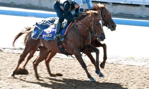サリオス余力十分　ムーア「パーフェクト」　19年朝日杯FS以来のG1.2勝目へ