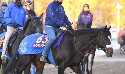 【ジャパンC】ハーツイストワール　国枝師、武豊の最強コンビが東京で輝く