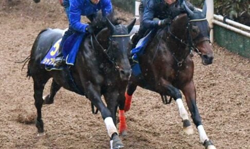 【ジャパンC】シャフリヤール　心技体上昇　調整ひと工夫で不安なく大一番へ