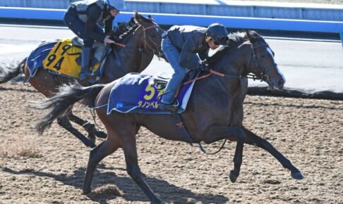 【ジャパンC】ダノンベルーガ　レース史上最少キャリアVへ万全　堀師「予定通りの調教」
