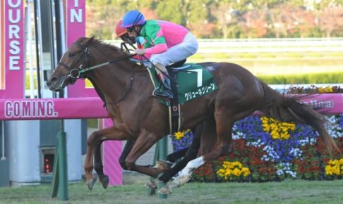 【京都2歳S】5番人気のグリューネグリーンが重賞初制覇