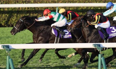 【ジャパンC】3番人気のヴェラアズールがG1初制覇