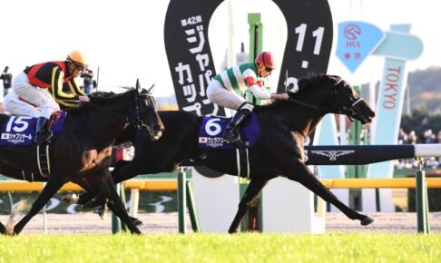 ジャパンC覇者ヴェラアズールが有馬記念へ　渡辺師「前向きに検討。乗り役は未定」