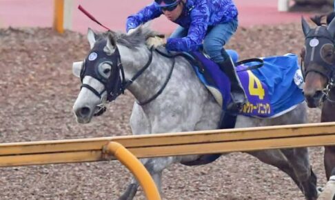 ステイヤーズS覇者シルヴァーソニック有馬記念見送り