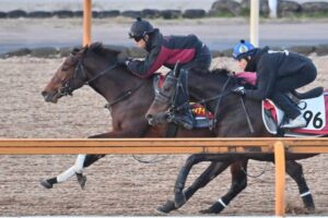 【阪神JF】リバティアイランド　目を見張る操縦性　状態着実に上昇カーブ描く