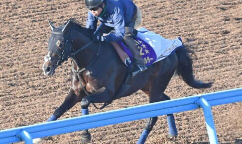 【有馬記念】タイトルホルダーが1位　栗田師「責任を感じます」　ファン投票最終結果