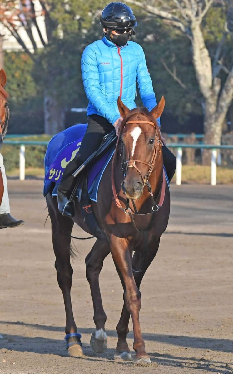 サリオスが香港マイル出走取消