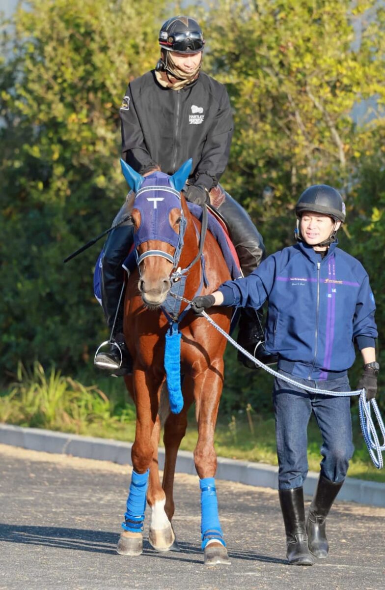 香港ヴァーズ覇者ウインマリリン　ドバイシーマクラシックで海外G1連勝を目指す