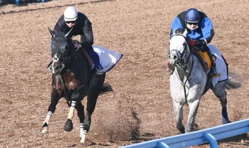 【有馬記念】タイトルホルダー　横山和と息ピッタリ　栗田師「悪い点なかった」