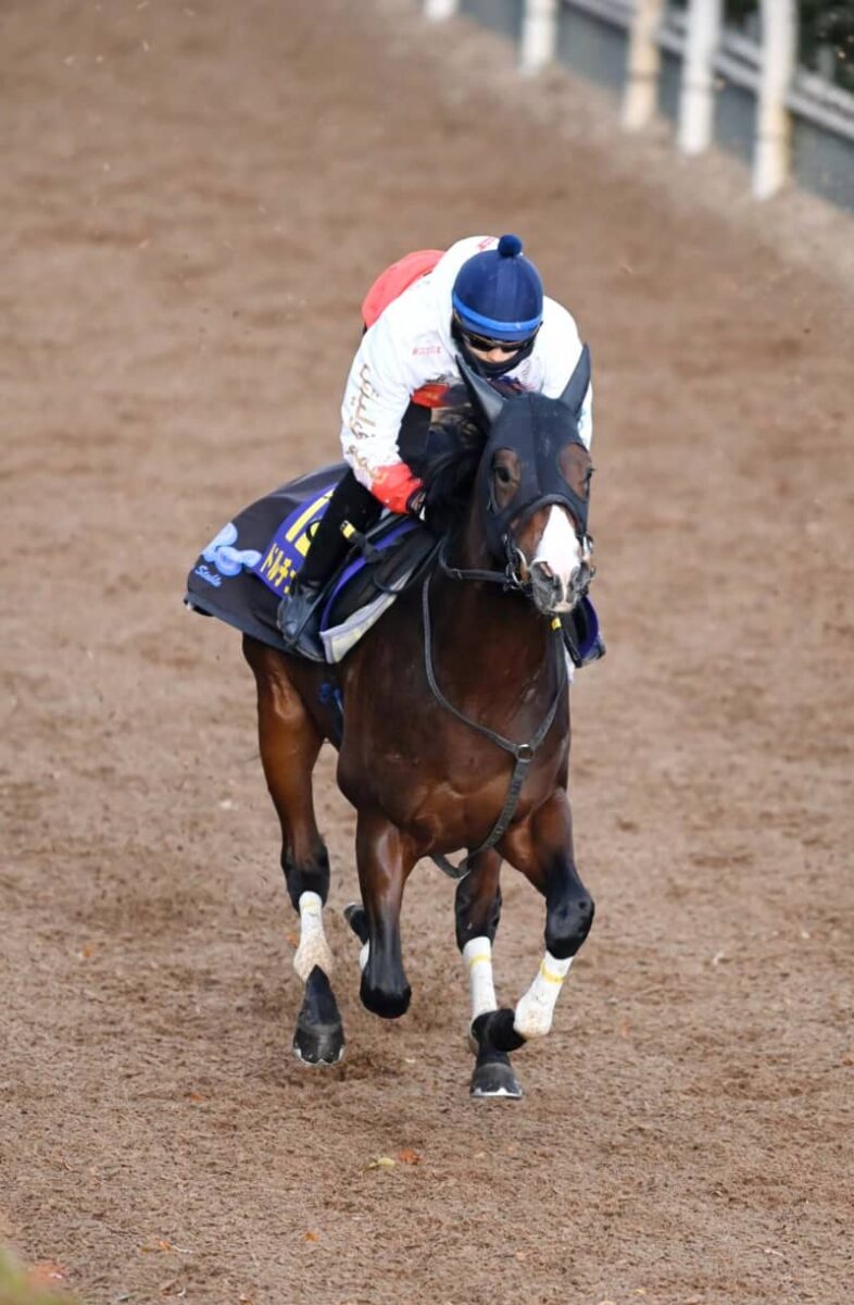 【朝日杯FS】ドルチェモア絶好枠に須貝師納得顔　状態も「マイナス面が見当たらない」