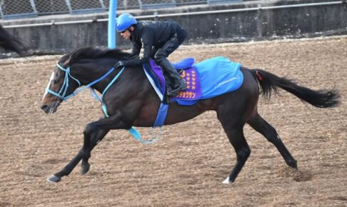 【中山大障害】オジュウチョウサン　有終Vへ自信アリ　石神「昨年の暮れよりいい」