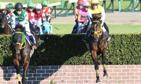 【中山大障害】ニシノデイジーが障害入り4戦目で新王者に　ラストランのオジュウチョウサンは6着