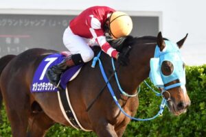 【JRA賞】わずか1票差でオジュウチョウサンが5度目の最優秀障害馬に