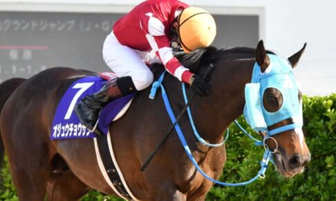 【JRA賞】わずか1票差でオジュウチョウサンが5度目の最優秀障害馬に