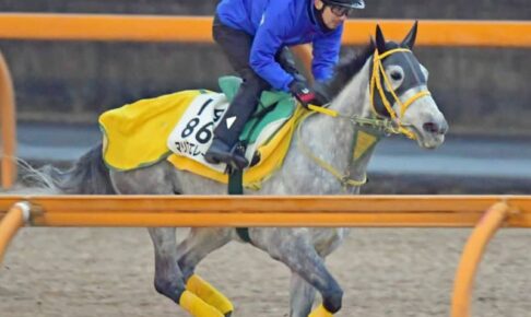【愛知杯】マリアエレーナ仕上がった　軽快に栗東CWラスト1F11秒3で能力の高さ証明