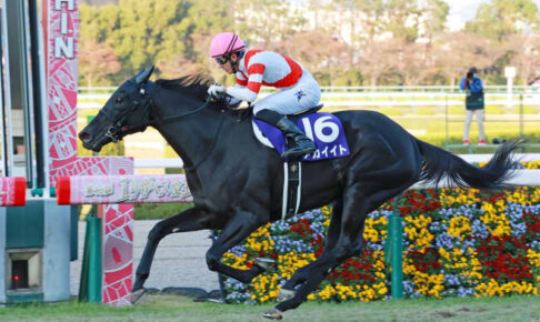 21年エリザベス女王杯覇者アカイイト引退　繁殖入りへ