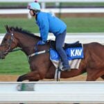 【スプリングS／追い切り診断】クレパスキュラーを超える最高評価「S」　颯爽とした走りで迫力満点「一発ありの雰囲気」