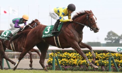 【愛知杯】1番人気アートハウスが先行抜け出し完勝