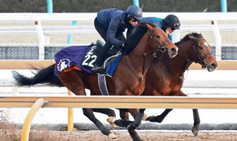 【きさらぎ賞】オープンファイア上昇ムード　ディープ産駒最終世代いざクラシックへ