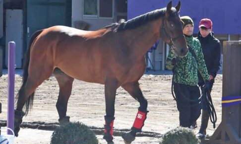 引退するエフフォーリアが美浦トレセンを退厩 横山武号泣「第二の馬生を幸せに」 引退するエフフォーリアが美浦トレセンを退厩 横山武号泣「第二の馬生を幸せに」