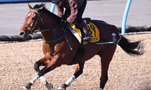 【中山記念】ソーヴァリアント　切れたラスト1F11秒2　大竹師「いい形で送り出せる」