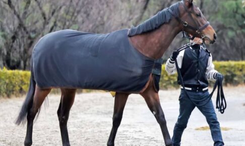【チューリップ賞】良血馬バースクライ“桜冠”狙う　母、半兄ともに千田厩舎管理