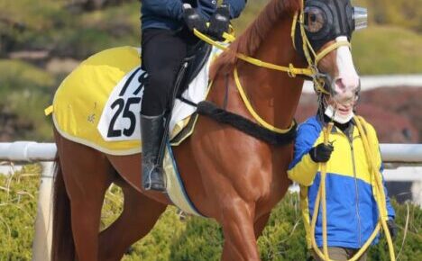 【阪神大賞典】ボルドグフーシュ　悲願初タイトルへ　別定56キロも追い風