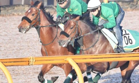 【スプリングS】ベラジオオペラ　重賞初Vへ態勢万全　牡馬戦線主役へ勝って躍り出る