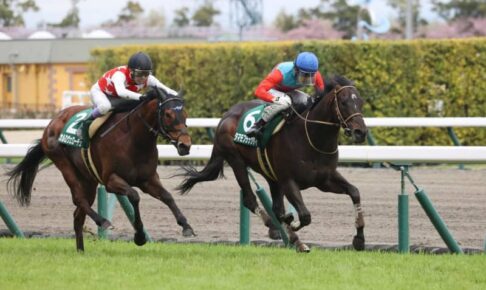 【ファルコンS】8番人気タマモブラックタイが重賞初制覇　3連単83万超の大波乱