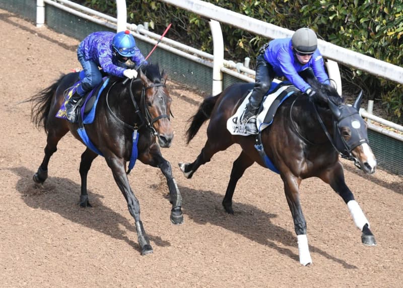 【大阪杯】ヴェルトライゼンデ好仕上がり 池江師「来週やれば整う。頑張ってほしい」 【大阪杯】ヴェルトライゼンデ好仕上がり 池江師「来週やれば整う。頑張ってほしい」