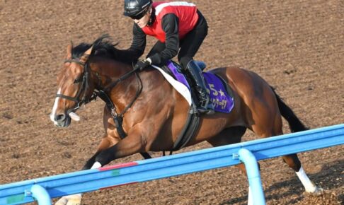 【日経賞】アスクビクターモア　放牧経てグ～ンと成長　田村師「ものすごく順調に行った」