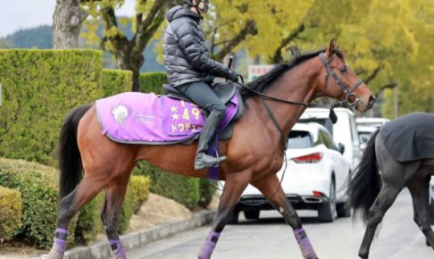 ドウデュースがドバイターフ取消　友道師「将来のある馬なので無理をせず」