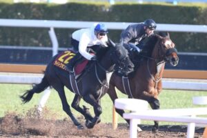 【桜花賞】ライトクオンタム　桜冠へ武豊を背に好ムード　ディープ産駒最終世代の無敗馬