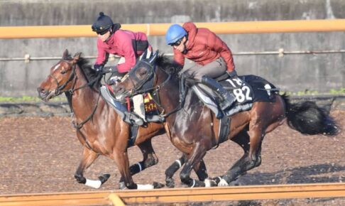 【桜花賞】リバティアイランド　2歳女王の風格たっぷり　段違いの脚力でラスト鋭伸